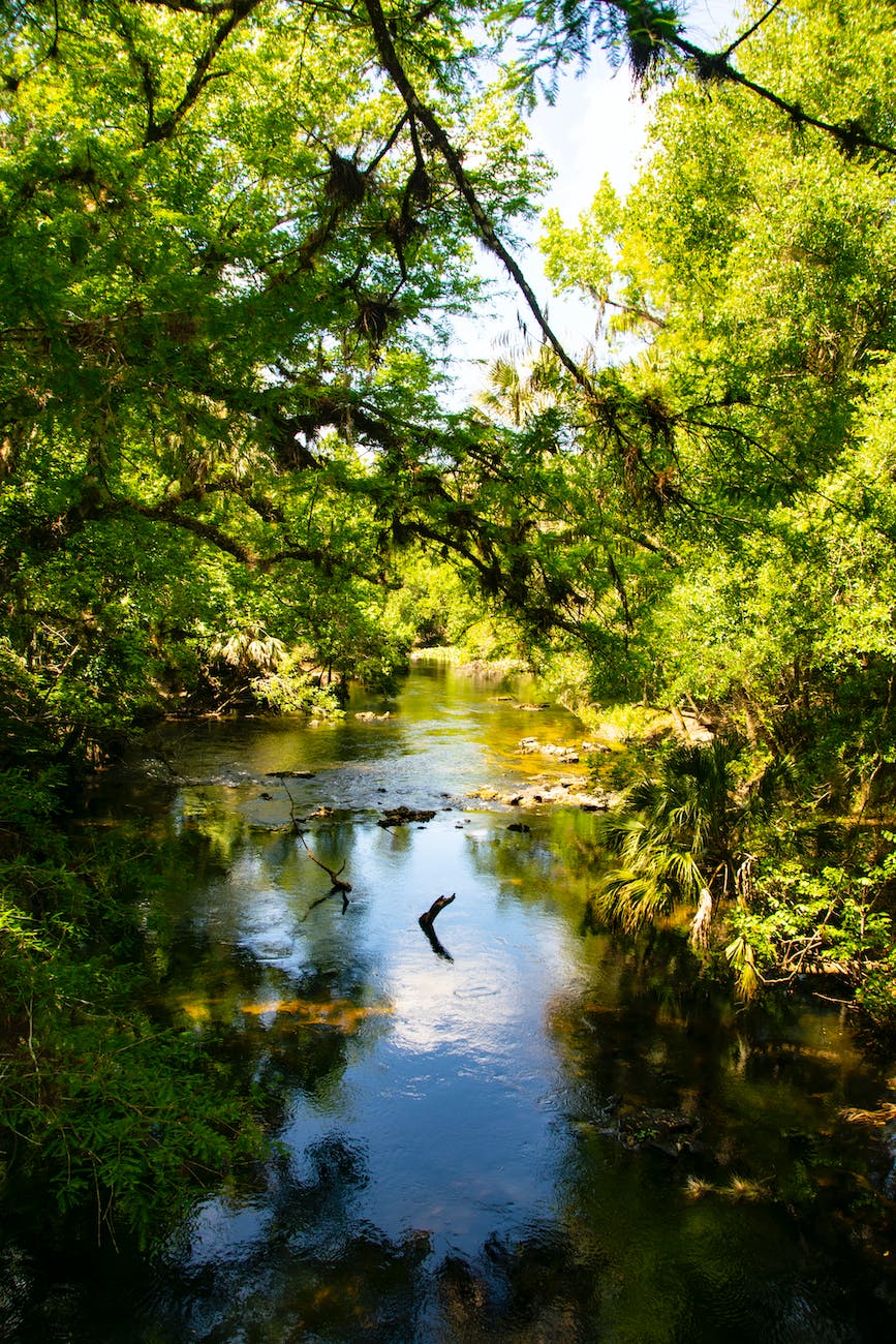 calm river